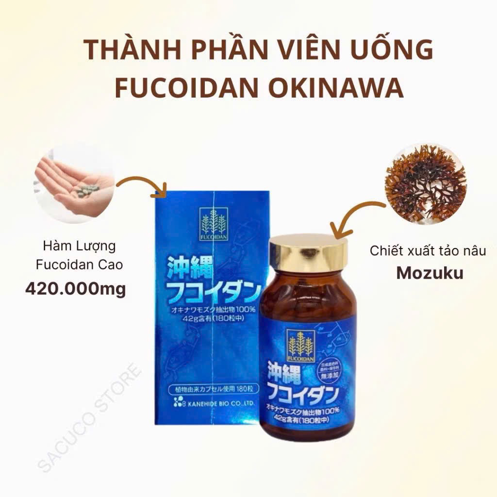 VIÊN UỐNG FUCOIDAN OKINAWA NHẬT BẢN