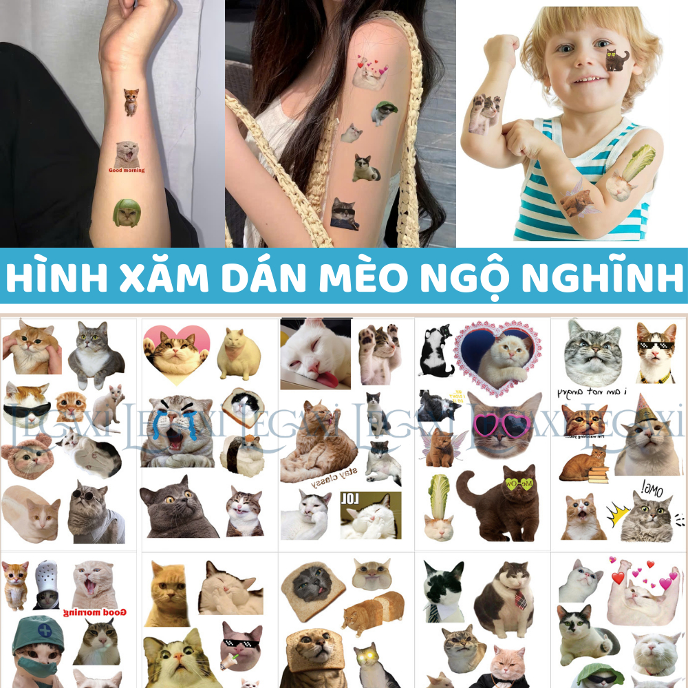 74 Hình Xăm Dán Mèo Meme Hoạt Hình Ngộ Nghĩnh Dáng Yêu Biểu Cảm Khóc Vô Tri Vui Nhộn Ngạc Nhiên