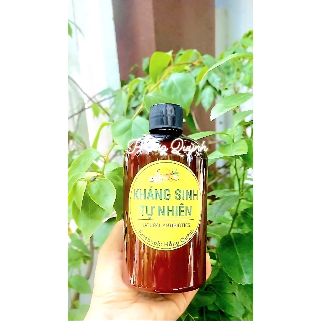 KHÁNG SINH TỰ NHIÊN 2 - NÂNG CAO MIỄN DỊCH, PHÒNG BỆNH GIAO MÙA
