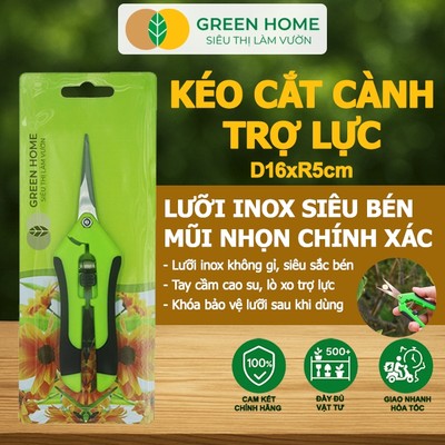 Kéo Cắt Cành GreenHome, D16,5xR4,5cm, Inox, Mũi Nhọn, Siêu Bén, Không Gỉ, Có Khoá An Toàn, Tiện Dụng