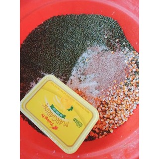 bắp bung, bỏng ngô nhà làm
