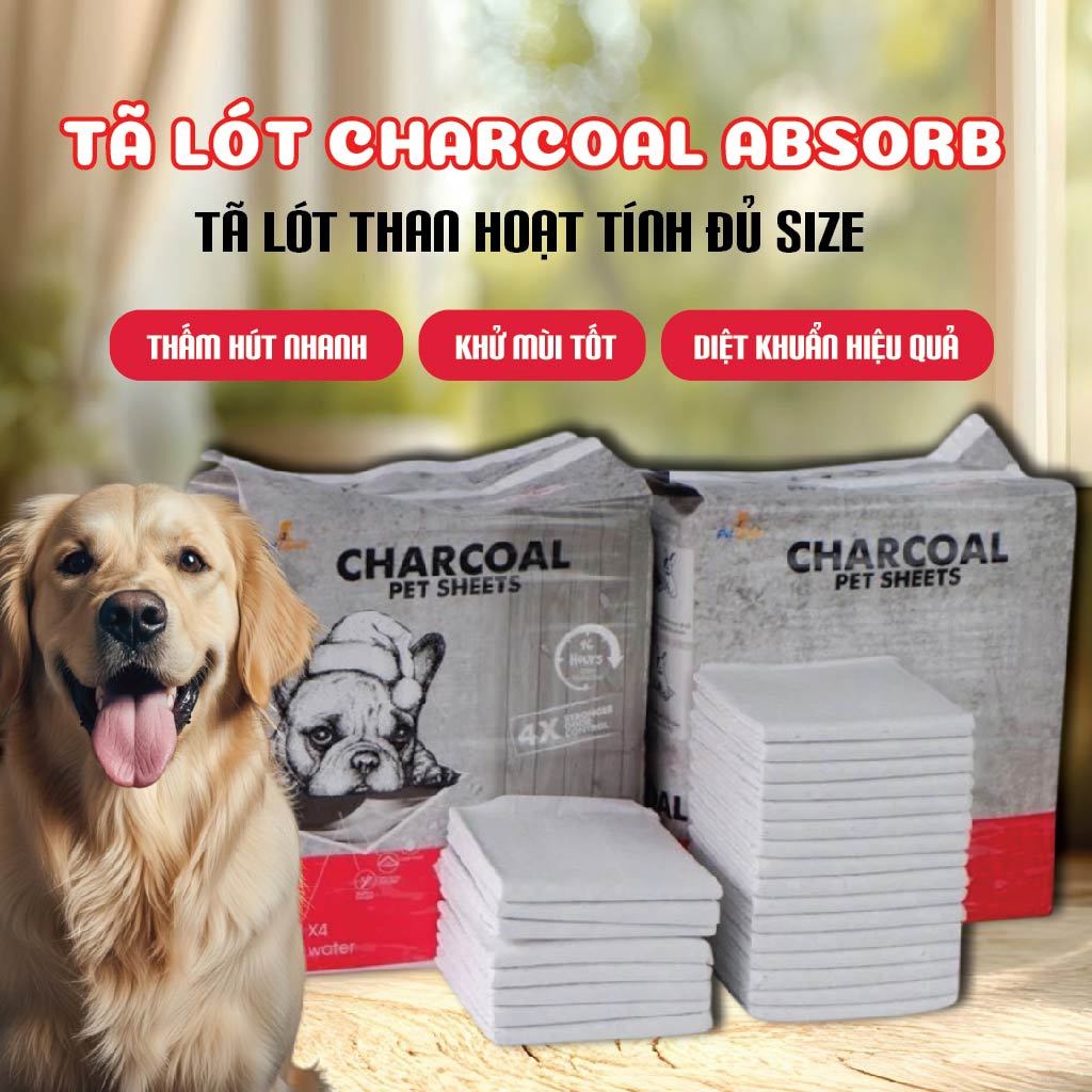 Miếng lót vệ sinh cho chó than hoạt tính bịch 100 miếng CHARCOAL  ABSORB đủ size