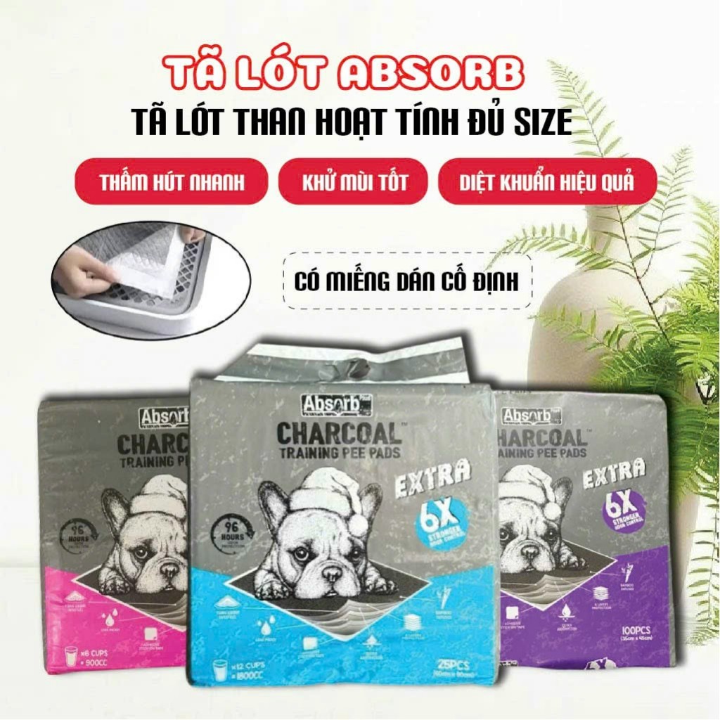 Miếng lót vệ sinh cho chó than hoạt tính CHARCOAL  ABSORB đủ size siêu thấm hút