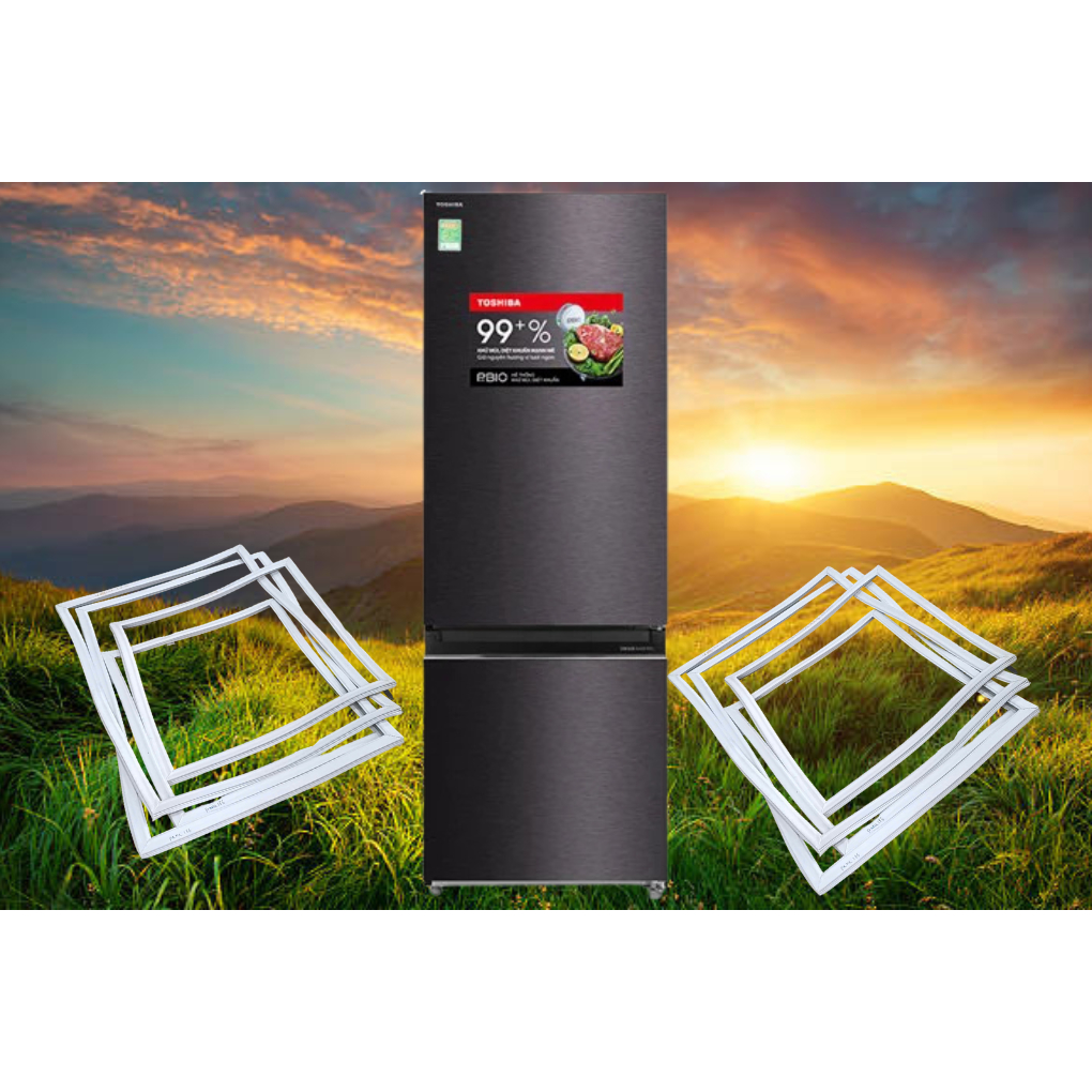 Ron cửa tủ lạnh TOSHIBA GR-W21 VUB