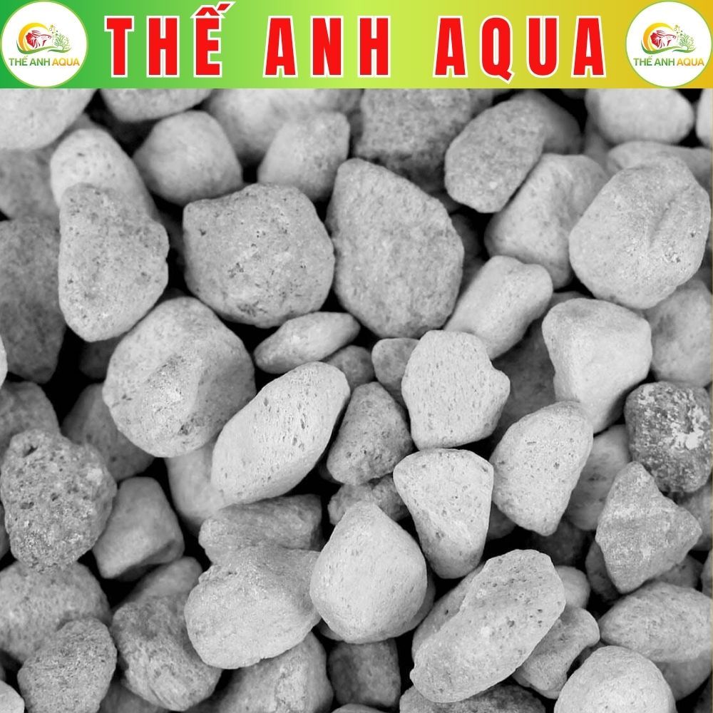 1 Lít_Vật liệu lọc Matrix Pond (hạt to) cho bể thủy sinh