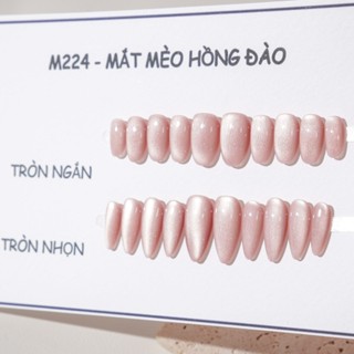   M224  - Kimsu Nailbox Mắt Mèo Hồng Đỏ Tím  Nâu Vàng  Form Tròn nhọn - đổi form ghi chú  