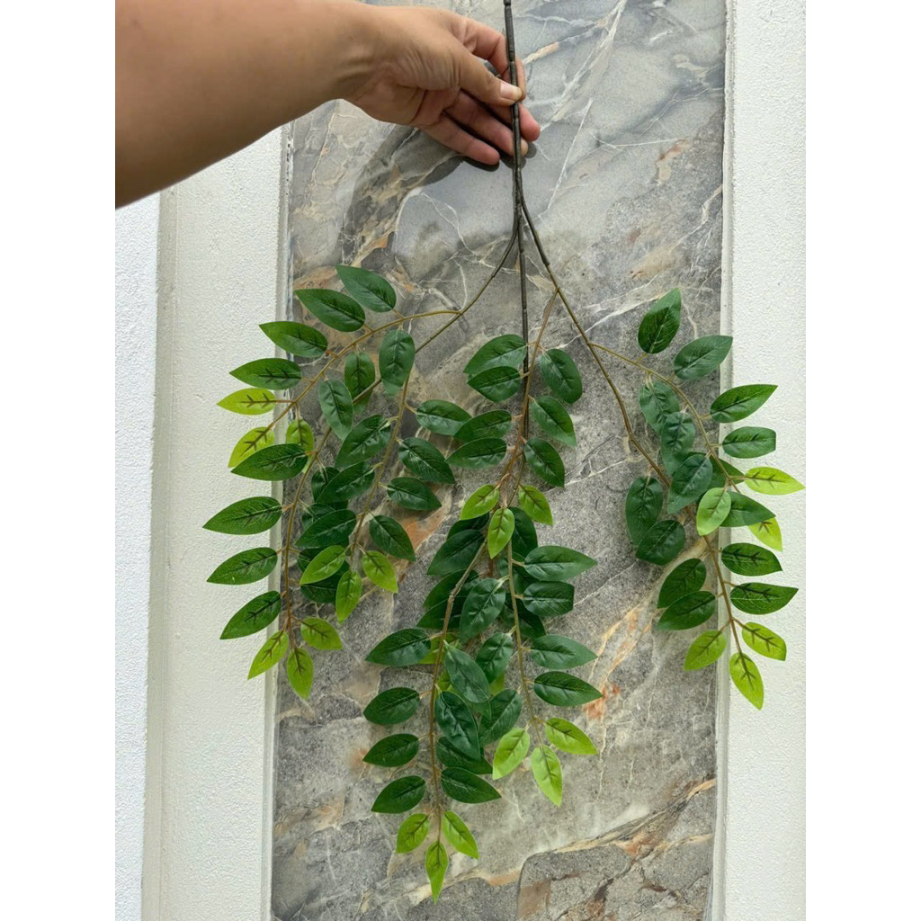 Combo 12cành lá khế_lá giả decor