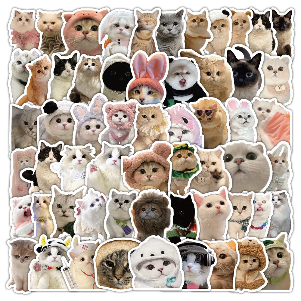 Set 60 sticker meme mèo cute dễ thương hình dán meme những chú mèo xinh đẹp đáng yêu trang trí
