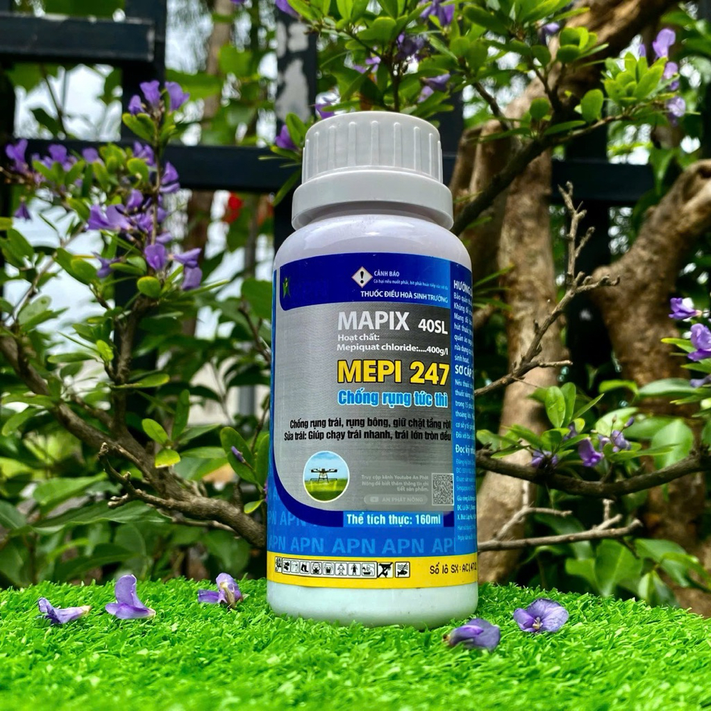 Phân Bón MEPI 247 160ML APN chống rụng tức thì, rụng bông trái trái lớn tròn