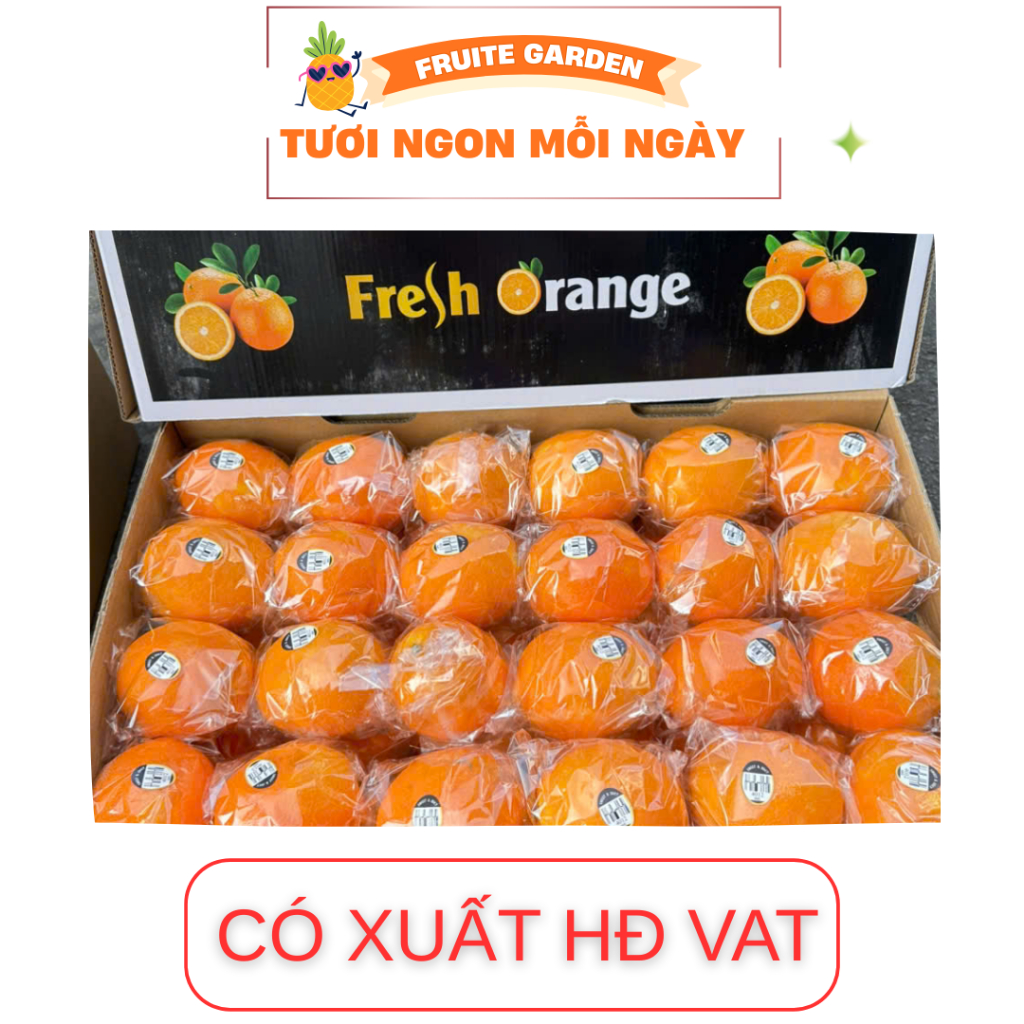 [ Chỉ Giao HCM ] Cam Kiếng NDT - T/15Kg