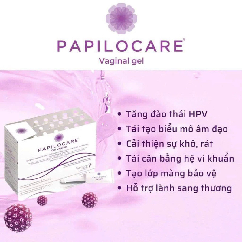 PapiLocare tăng đào thải HPV cam kết chính hãng