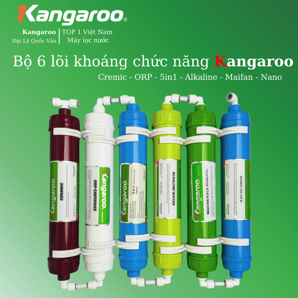 [Hoả Tốc] Bộ 6 lõi chức năng Máy Lọc Nước KANGAROO KG10A3 KG109A KG99A KG116i KG10A18 KG10A17