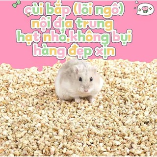  Cùi bắp lõi ngô nội địa trung hạt nhỏ không bụi thấm hút tốt lót chuồng hamster thỏ bọ thằn lằn,bọ sát,gà rutin,sóc 