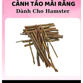 Cành táo mài răng cho hamster, thỏ, bọ, nhím, sóc, chichinla