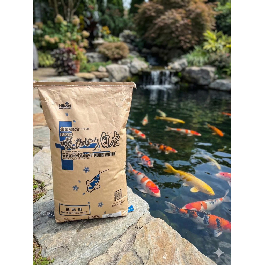 Saki - Hikari Pure White Thức Ăn Dành Cho Cá Phi Tần - Cá Koi (Chiết Lẻ)