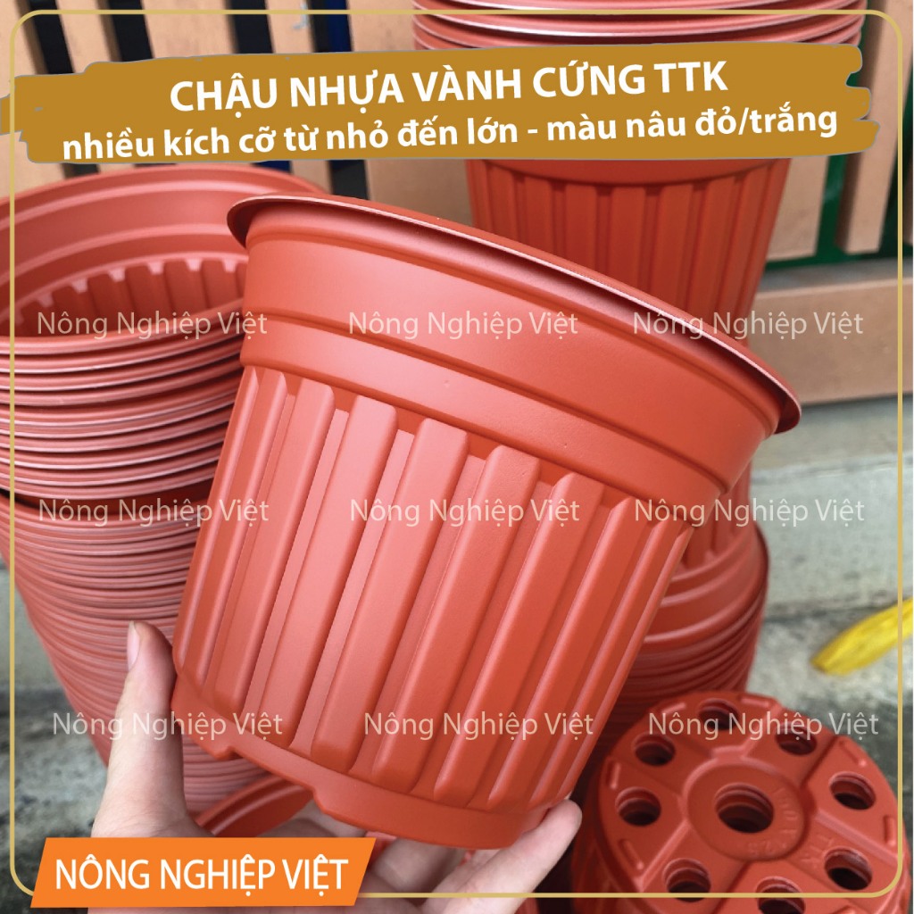 combo 10-50 cái chậu nhựa có vành miệng (trắng/nâu đỏ) - Chậu TTK, Chậu trồng hoa cúc, hoa vạn thọ t