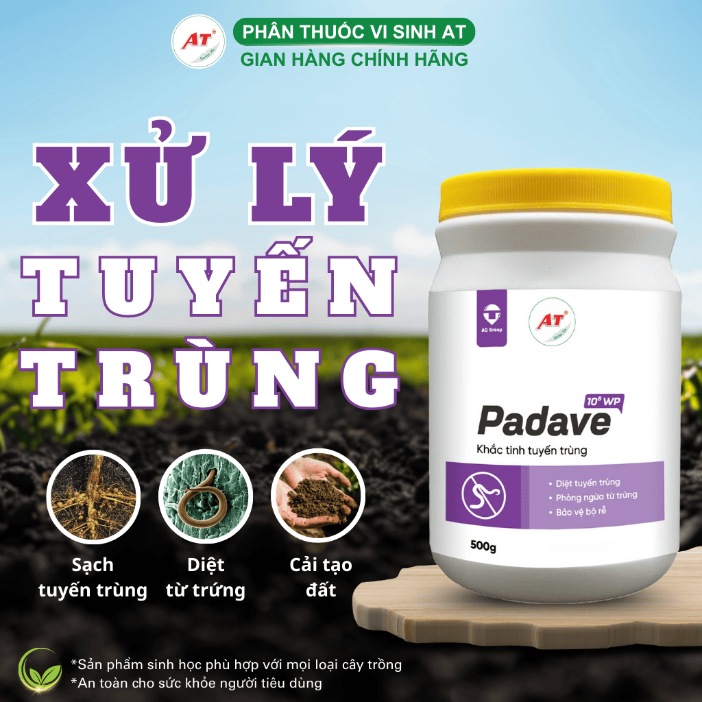 Tuyến Trùng Rễ Chế Phẩm Sinh Học AT PADAVE WP Chuyên Xử Lý Tuyến Trùng Từ Trứng 500g