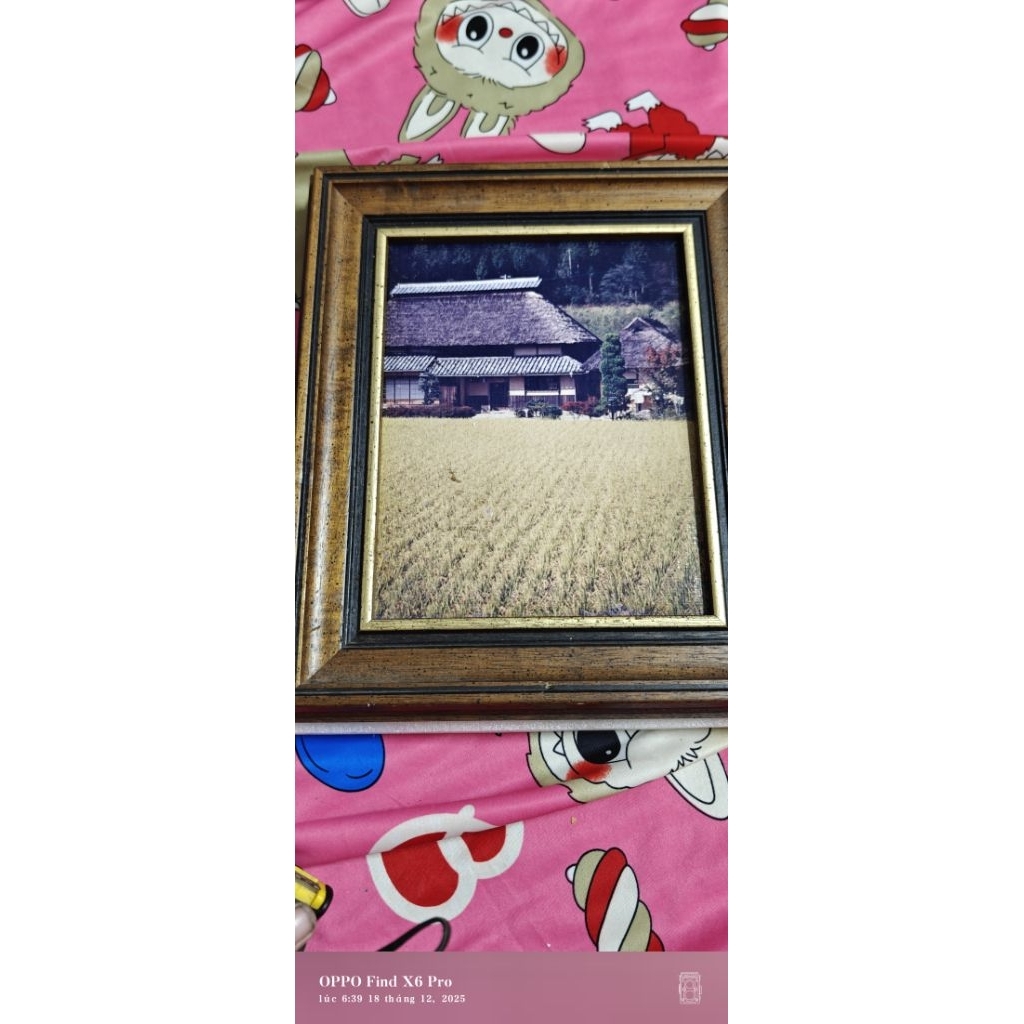 bức ảnh chụp làng Miyama Kayabuki no Sato ở Kyoto Nhật Bản khung gỗ