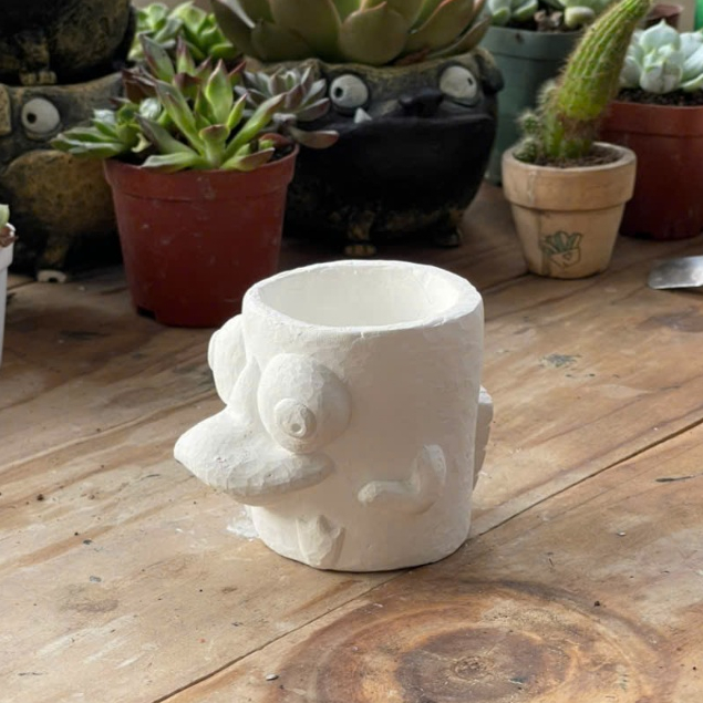 Phôi Trắng Chậu Cây Sen Đá Handmade Thú mỏ Vịt Perry