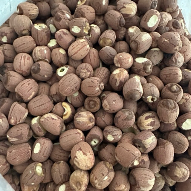 HẠT SEN LỨT RANG THÁP MƯỜI-500G