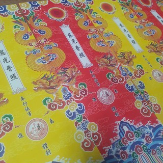 500 vỏ đựng song long sớ dài 36.5cm