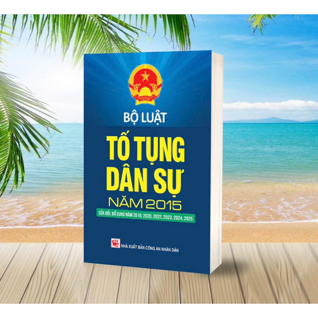 Sách- Bộ Luật Tố Tụng Dân Sự Năm 2015 Sửa Đổi, Bổ Sung Năm 2019,2020,2022,2023,2024,2025