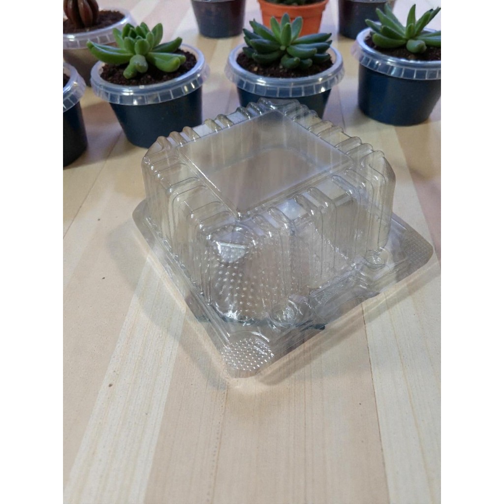 100 HỘP NHỰA H 52 ĐỰNG BÁNH H52 CAO 11 X 11 X 8 CM