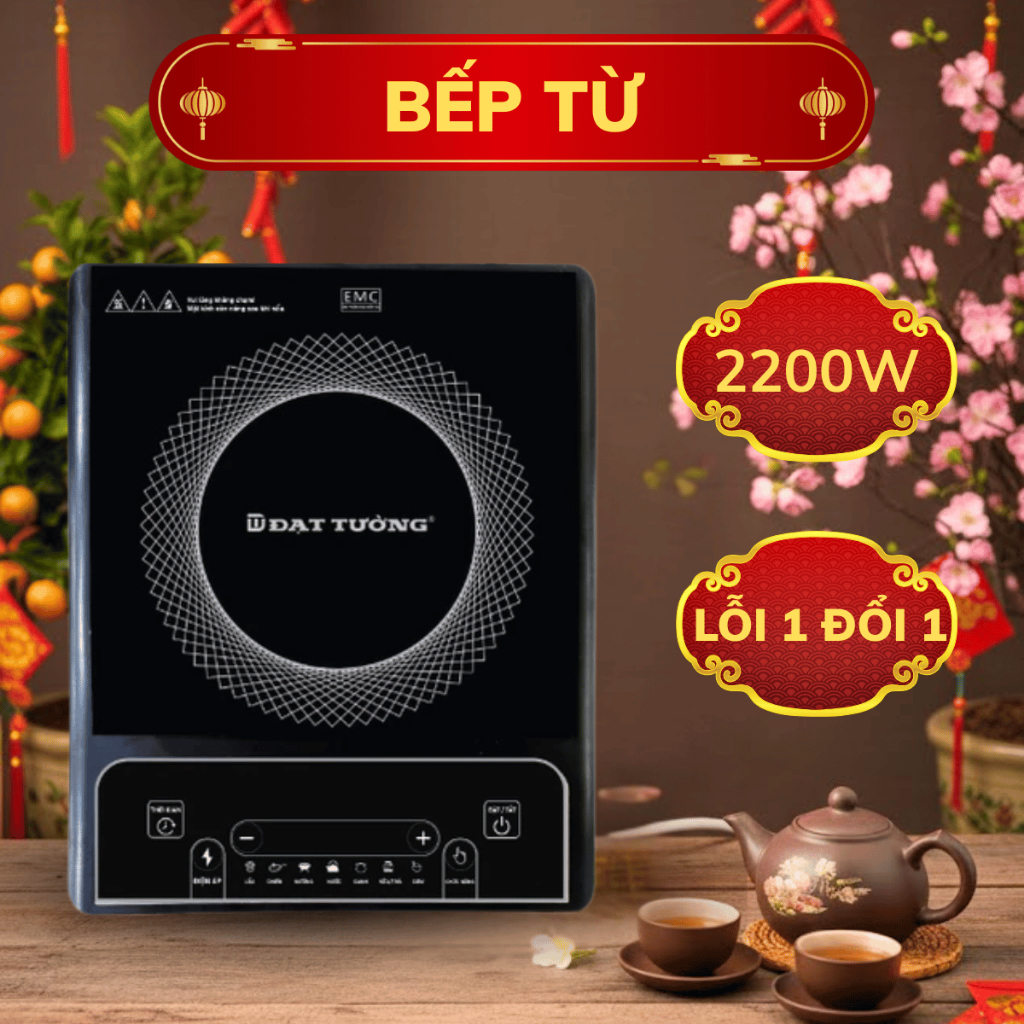 Bếp từ Đạt Tường công suất 2000W, bếp nấu nhanh chóng với 8 chế độ,tặng kèm nồi inox cao cấp
