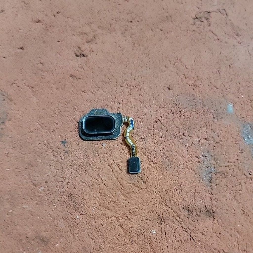 Cáp Vân Tay Sam Sung S8 / G950F Zin Tháo Máy