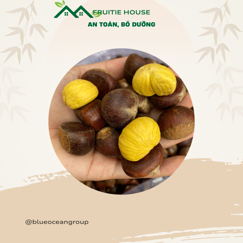 🌰 HẠT DẺ TƯƠI TÚI 1KG – BÉO BÙI, NGỌT TỰ NHIÊN 🌰