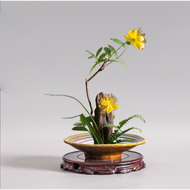 chậu cắm bonsai ikebana dạng đĩa có chân dáng thấp IKE3 thích hợp bày hoa quả trang trí