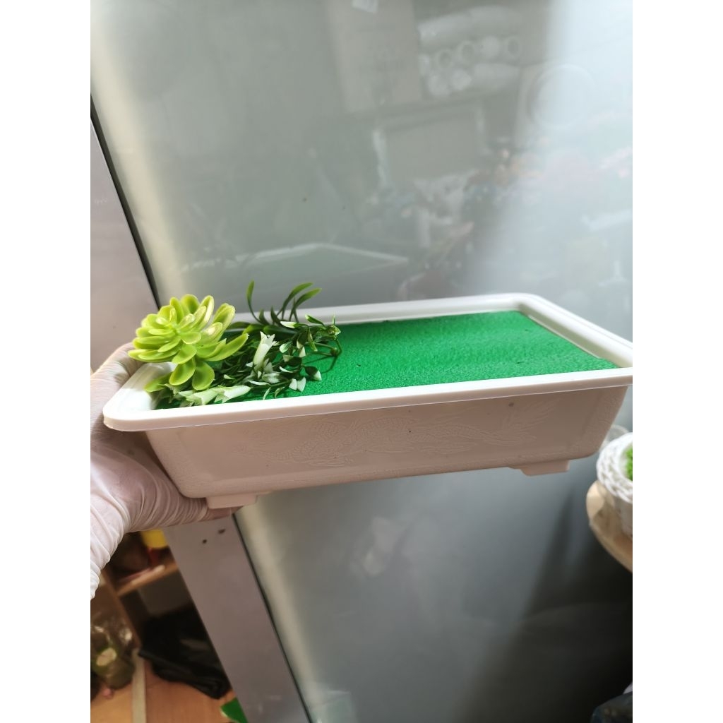 Chậu cây bonsai Decor Decor với xốp sơn xanh và cỏ trang trí gốc cây - Decor Phòng