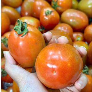 Cà chua quê ngon sạch - Túi 500G
