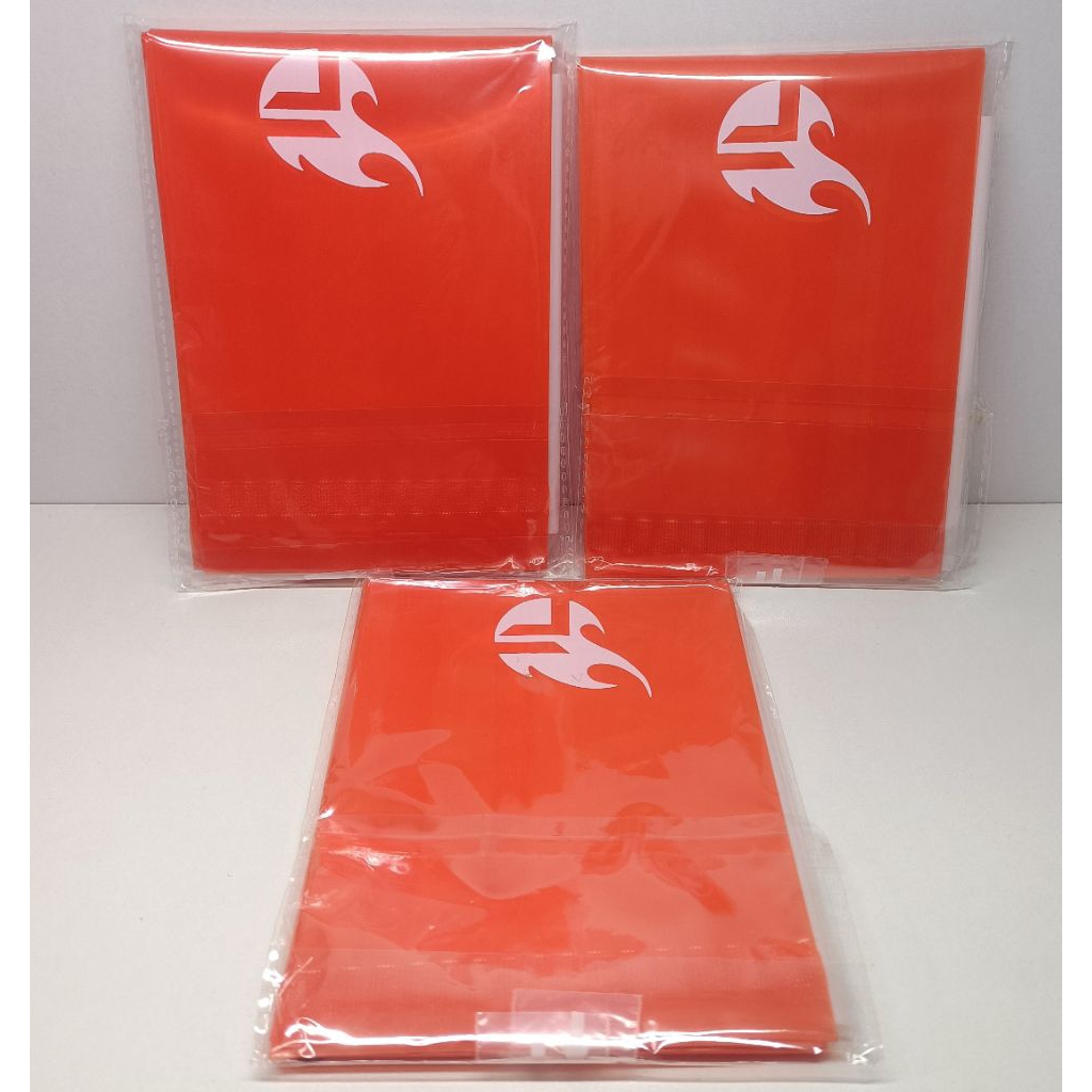 Bóng Đâp Cỗ Vũ FPT Team Flash