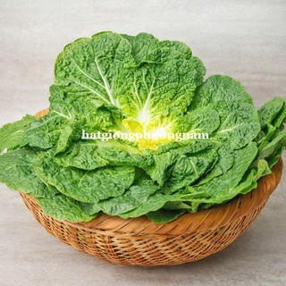 0.5 Gram - Hạt Giống Cải BomDong Hàn Quốc