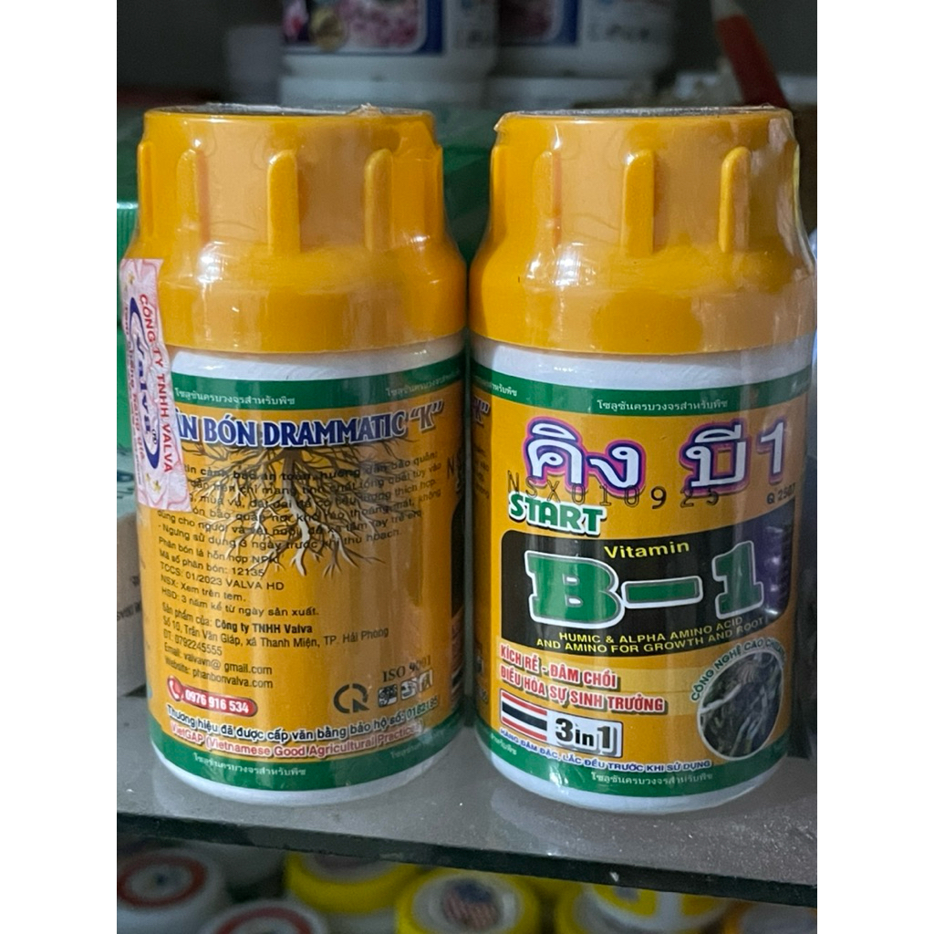 B1 -100 ml  - kích rễ siêu mạnh - Hàng  chính hãng- Hiệu quả sau 1-2 lần sử dụng ( b1 thái vàng )