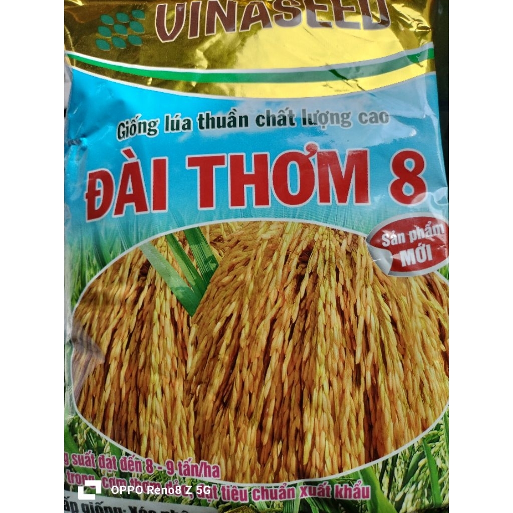 Giống lúa Đài Thơm 8