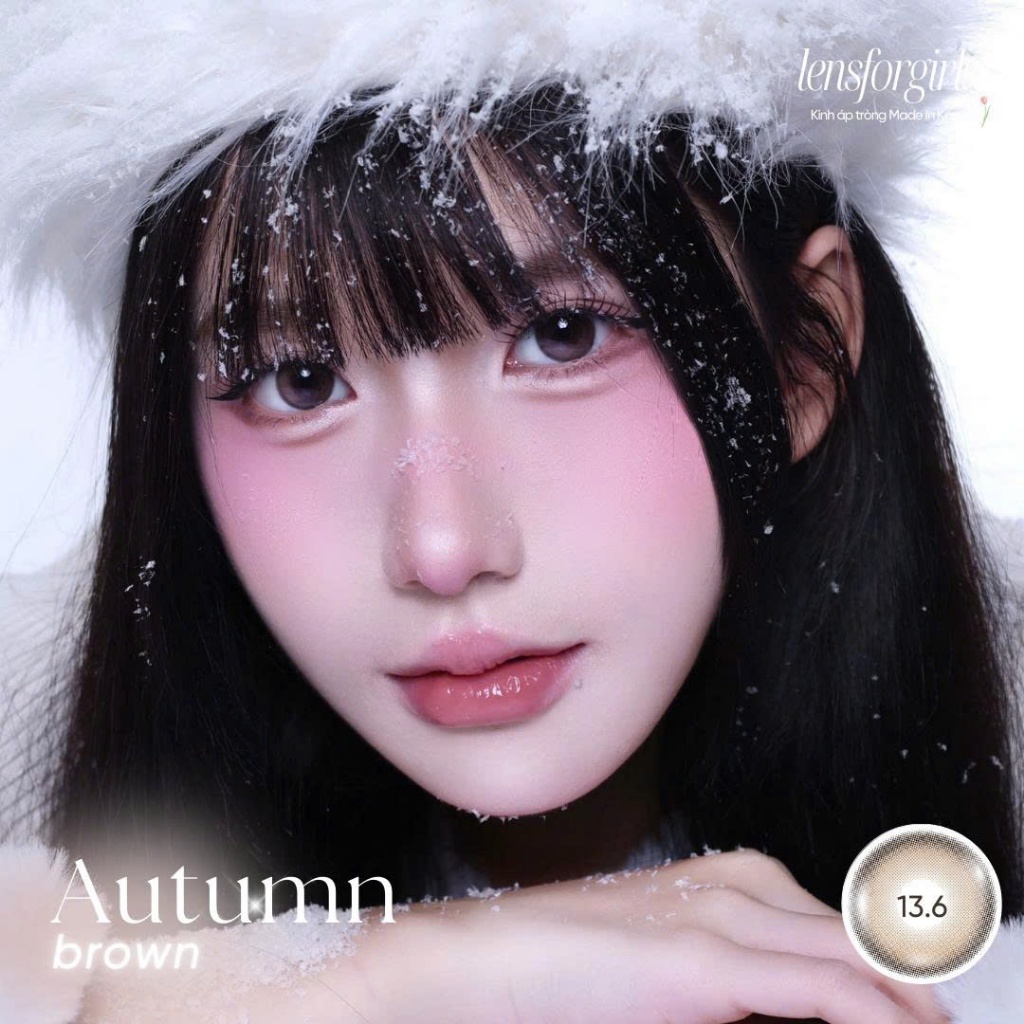 Lens nâu | Kính áp tròng GIÃN TRÒNG AUTUMN BROWN chính hãng ANEYES Korea | DIA 14.5 | Lens cận | LENSFORGIRLSS | BigBuy360 - bigbuy360.vn