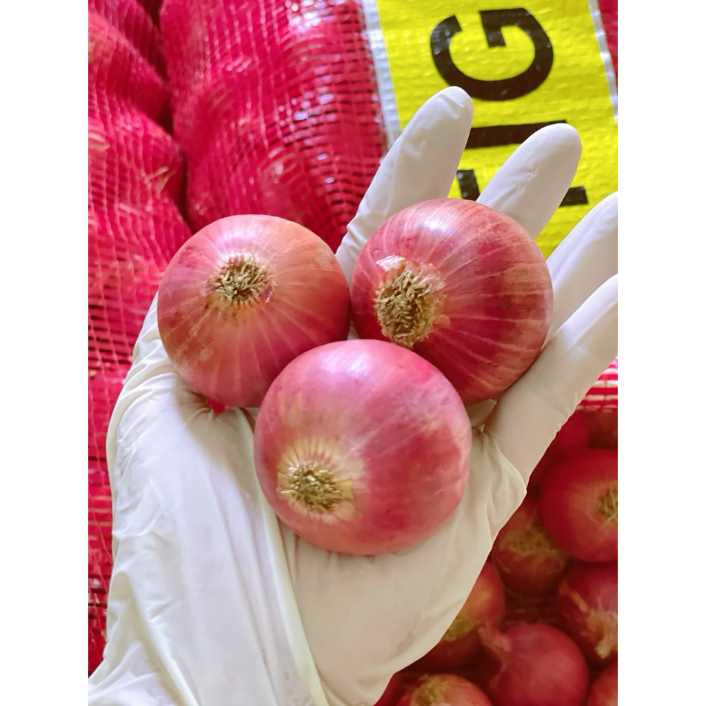 Hành tím ấn độ 0,5-1kg,đã làm sạch(củ to cay nồng).