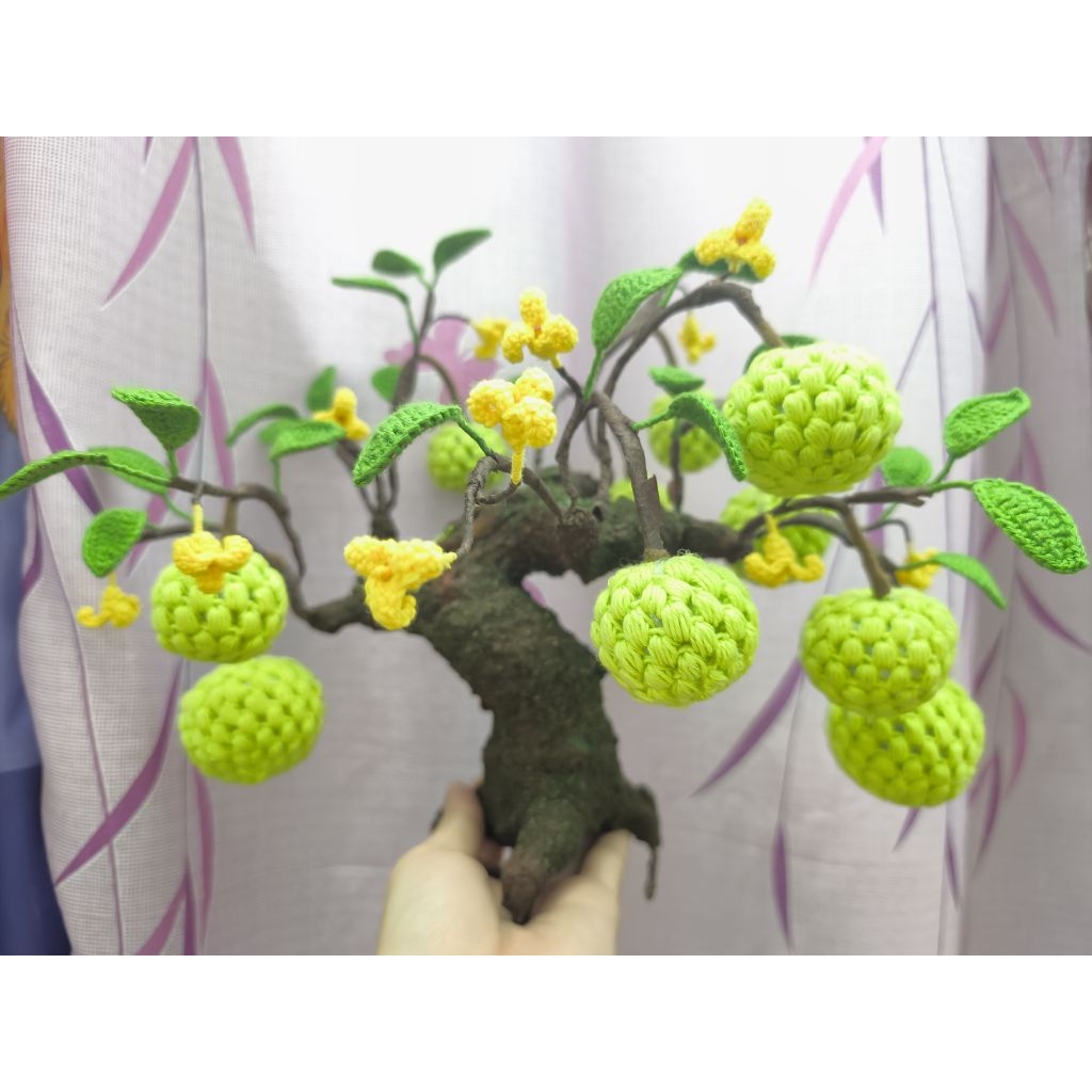 Cây Na bonsai sợi CTVN 1MM