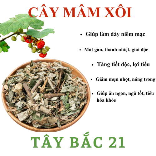 Lá mâm xôi khô làm dầy niêm mạc, hỗ trợ ivf-iui (1kg)