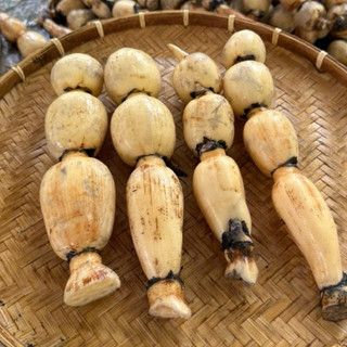 Combo 5kg Củ Sen Tươi(Hoả tốc)
