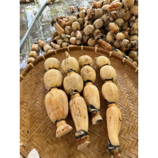 Combo 5kg Củ Sen Tươi(Hoả tốc)