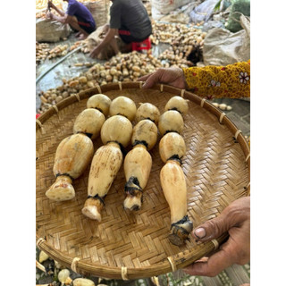 Combo 5kg Củ Sen Tươi(Hoả tốc)
