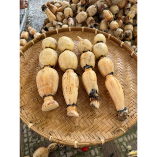 Combo 5kg Củ Sen Tươi(Hoả tốc)