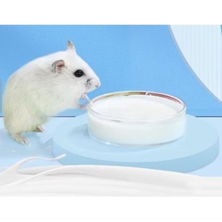 Bộ 4 món pha BỘT SỮA DÊ cho Hamster, thỏ, bọ, nhím sóc giúp tăng cân, mượt lông, vỗ béo, giàu canxi