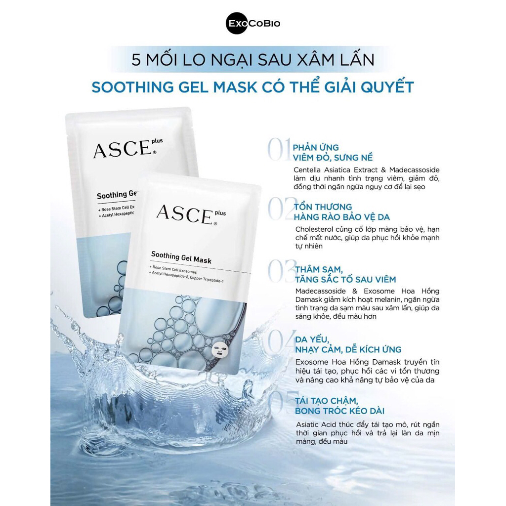 Mặt nạ Asce hộp 3 miếng ghch365