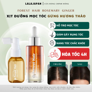   HỎA TỐC  Xịt Dưỡng Dầu ủ Mọc Tóc Rosemary Oil FOREST HAIR Dưỡng Tóc Dài Nhanh Tinh Dầu Hương Thảo 
