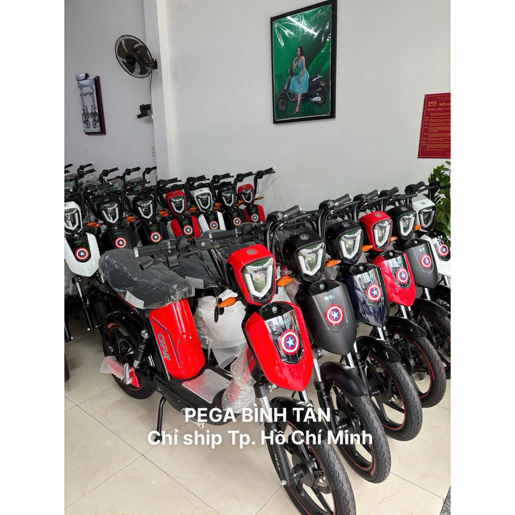( Chỉ ship Tp. Hồ Chí Minh ) Xe đạp điện Pega Cap As hàng chính hãng Pega