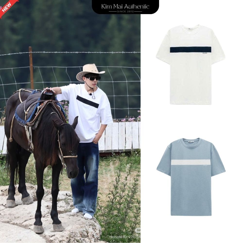 1887/409 | Áo phông nam ZR size XL